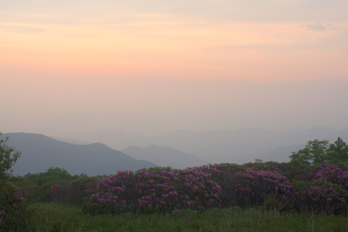 Qi Gong in the Mountains